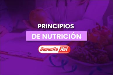 Curso principios de nutrición (180 hrs. pedagógicas)